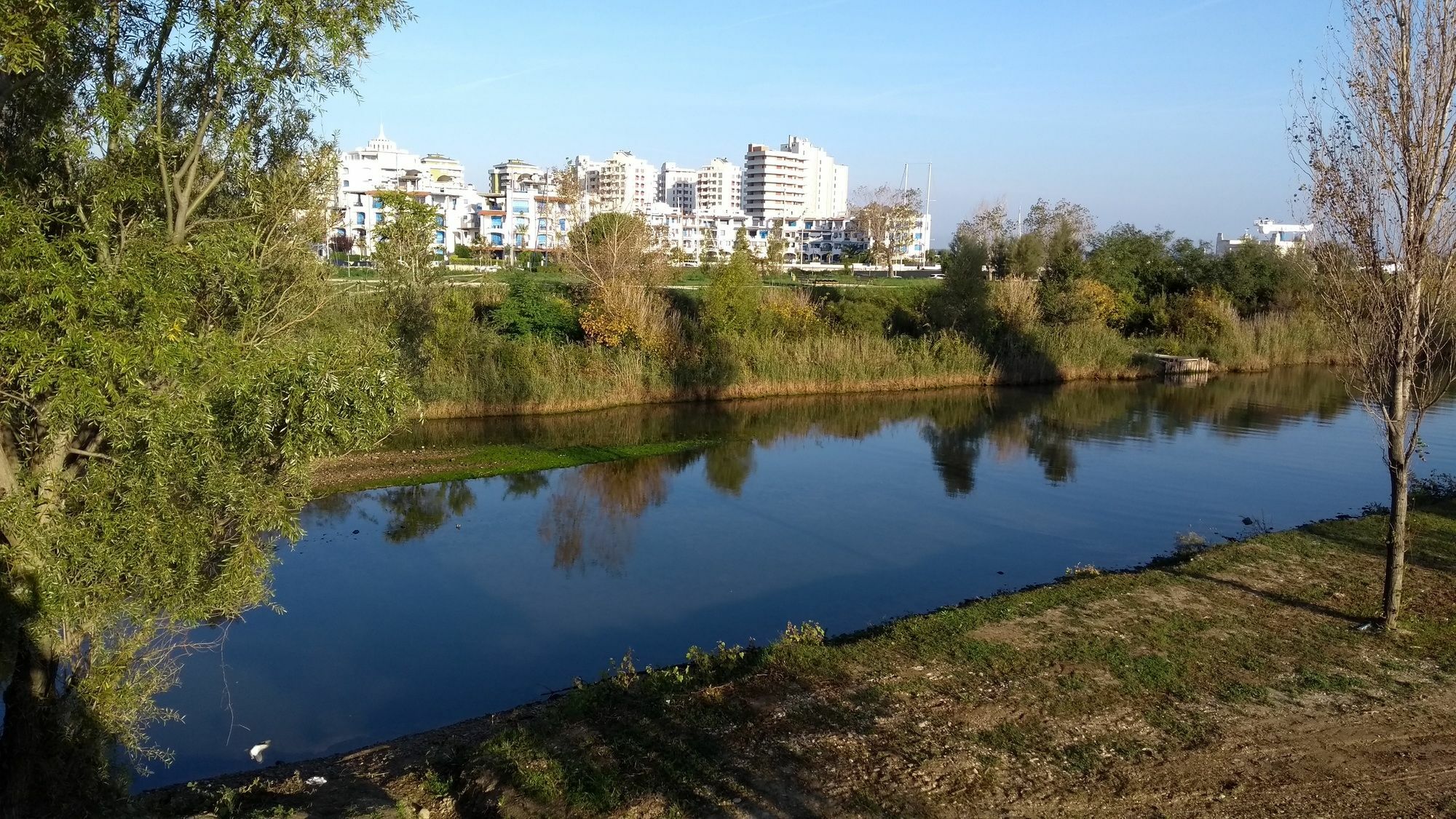 Portoverde Beach Apartments Misano Adriatico Eksteriør billede