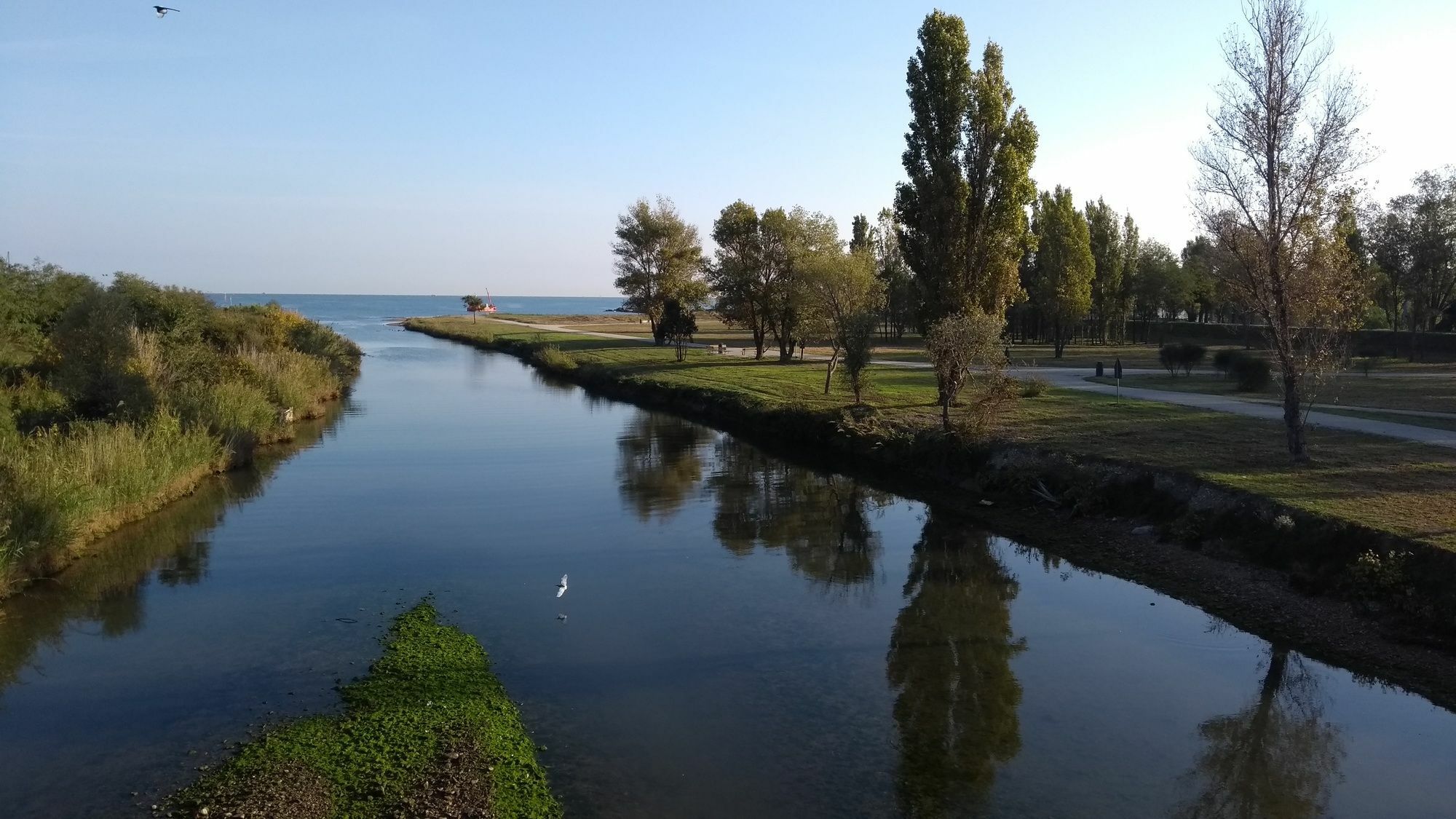 Portoverde Beach Apartments Misano Adriatico Eksteriør billede
